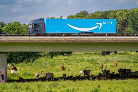 Lorry on the A40 motorway, bridge over the Ruhr and Styrumer Ruhrauen, herd of cattle, dairy cows
