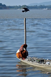 Rag picker collecting plastic bottle and other plastic materials in a boat from the bank of
