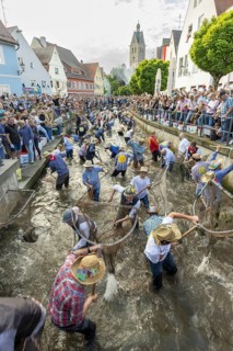 Fishing out the town stream, fishing day in Memmingen, Unterallgäu, Allgäu, Bavaria, Germany,