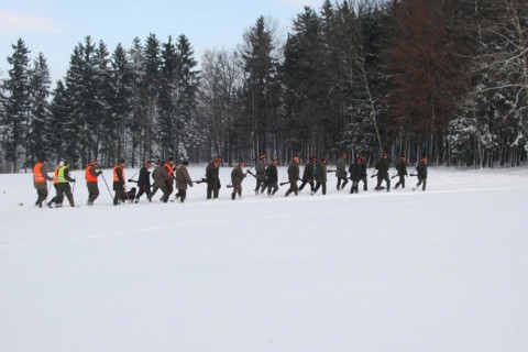 Hunters and hunting assistants, so-called beaters in the snow, on the way to the next drive, on the