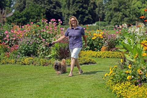 Woman takes Lhasa Apso for a walk in the park