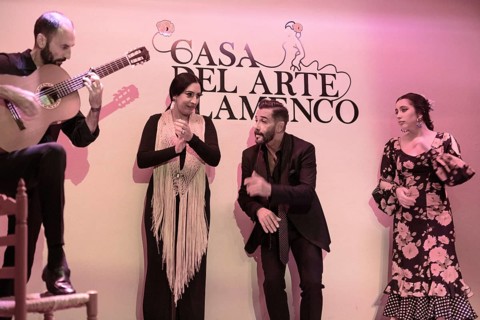 Flamenco performance with musicians and dancers in festive dress on a stage, Granada