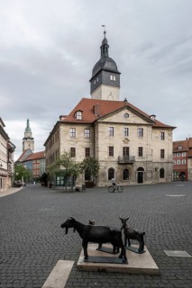 Bad Langensalza, historic old town, goat sculptures in front of the town hall, Thuringia, Germany,