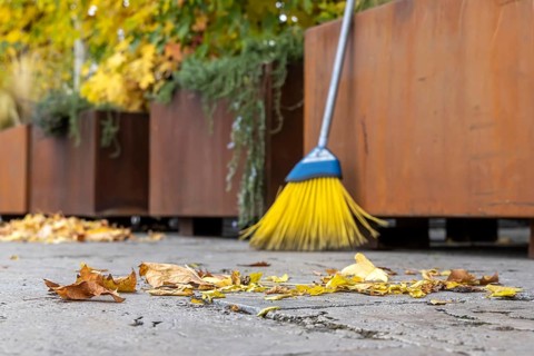 Leaves are falling from the trees. Autumn is the time for brooms to sweep the leaves off the