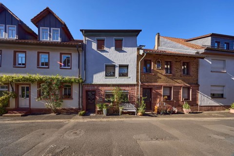 Facades of houses with flowers, bench and vine (Vitis vinifera) in the evening sun in the