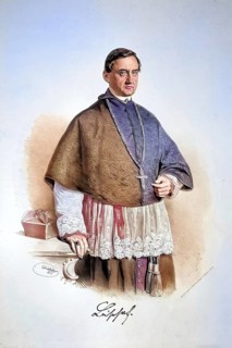 Vinzenz Gasser (1809-1879), Bishop of Brixen, founder of the Vinzentinum, Historical, digitally