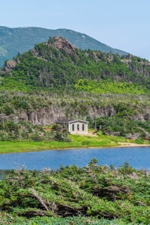 Secluded cabin surrounded by trees by the lake in Cedar Cove, Lark Harbour, Bay of Islands,