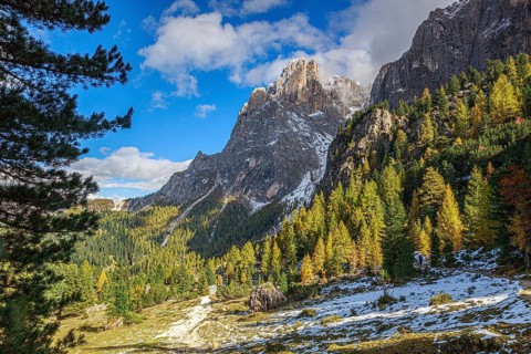 The Sella Group mountain landscape in the Alps with forest and snow under a sunny sky, South Tyrol,