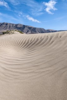 Dune landscape, Playa de Famara, Lanzarote, Canary Islands, Spain, Europe