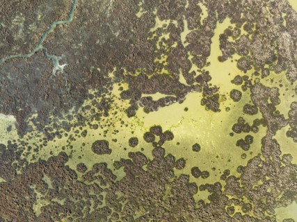 Marshland at low tide. Nature Reserve La Breña y Marismas del Barbate. Aerial view. Drone shot.