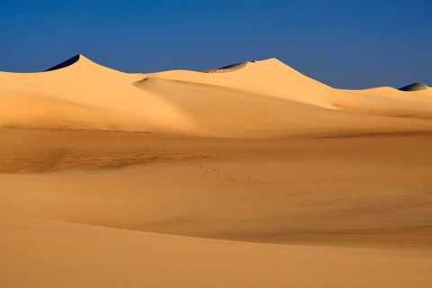 Golden sand dunes under a clear blue sky radiate peace and sun in an arid desert landscape, Matruh,