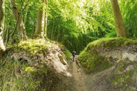 The Hochuferwanderweg from Baabe via Sellin to Binz, through dense beech forest, along the cliffs,