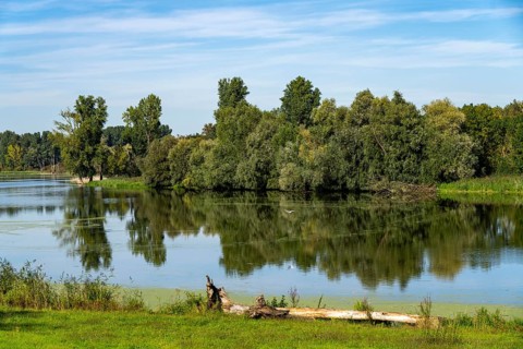 Bislicher Insel nature reserve, near Xanten on the Lower Rhine, floodplain landscape, old Rhine