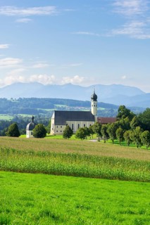 Pilgrimage church of St Marinus and Anian in Wilparting, cornfield, avenue, meadow, municipality of