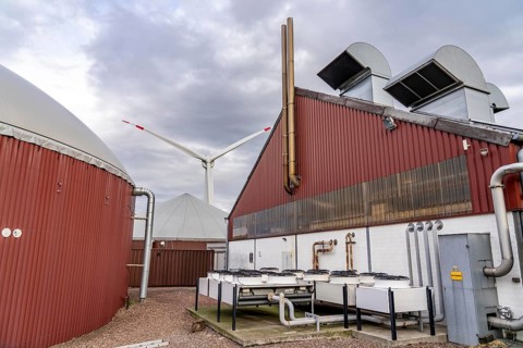 Biogas plant produces gas from various biomass, electricity is generated in combined heat and power