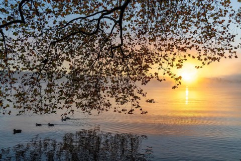 Sunrise, autumnal atmosphere at Lake Baldeney, near Haus Scheppen, in Essen, North