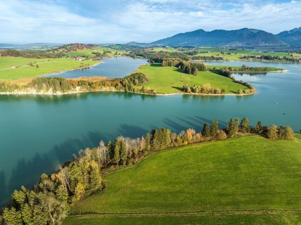 Aerial view of lake Forggensee, near Dietringen, Ammergauer Alpen, Allgaeu, Bavaria, Germany,