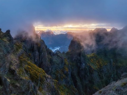 Mountains on sunset covered in fog and clouds with blooming Cytisus shrubs. Near Pico de Arieiro,