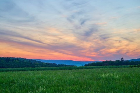 Green field with trees in the background under a dramatically illuminated sunset, the sky is bathed