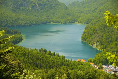 Alpsee, Schwangau, Ostallgaeu, Allgaeu, Swabia, Bavaria, Germany, Europe