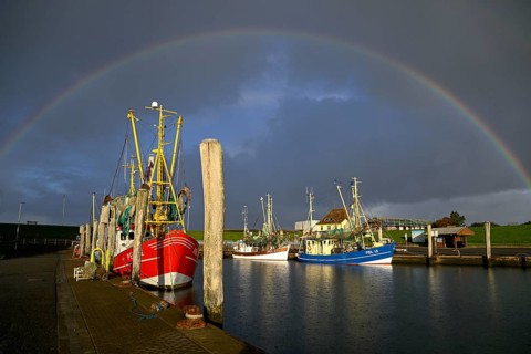 Fishing boats in the harbour of Tammensiel, rainbow, Pellworm Island, Schleswig-Holstein Wadden Sea