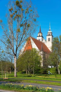 Church with two towers and a tree in the foreground under a blue sky, St John's Church, Magdeburg,