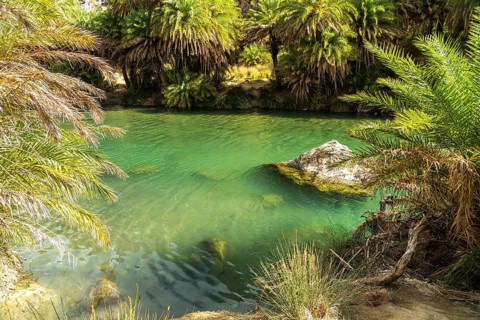 Phoenix theophrasti palms and the river Megalopotamos in the gorge of Preveli, Crete, Greece,
