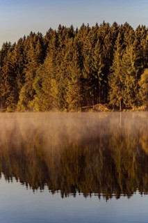 Autumnal morning atmosphere at Schmutter Weiher with fog near Lechbruck, Halblech and Roßhaupten in