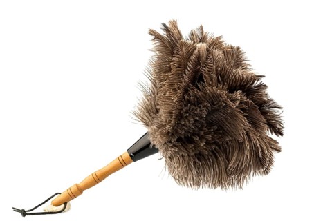 A feather duster in front of a white background, studio