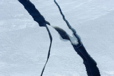 Crack in pack ice, Ice floe, Snow hill island, Weddel Sea, Antarctic Peninsula, Antarctica