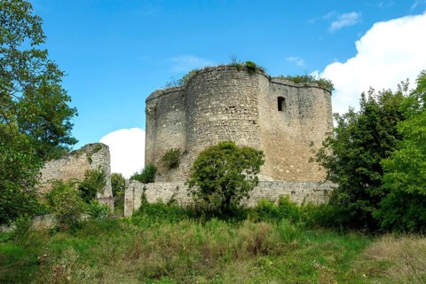 Medieval 13th century castle in Montaigu-le-Blin, showcasing impressive fortifications and