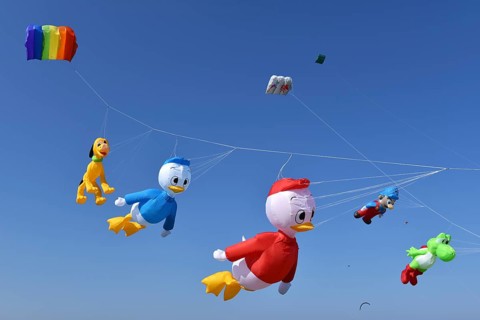 Kite festival, flying kites on Schönberg beach, Schleswig-Holstein, Germany, Europe