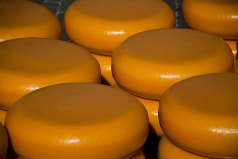 The cheese market in Alkmaar is the largest in the Netherlands with the traditional cheese
