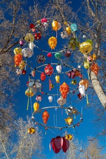 Denver, Colorado, An elaborate lantern hangs in the trees at the Denver Zoo