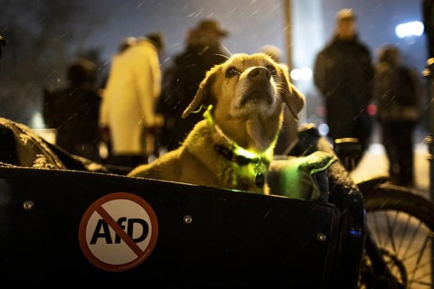 Recordings as part of the demonstration Auf die Strasse! Against the AfD's Nazi deportation plans