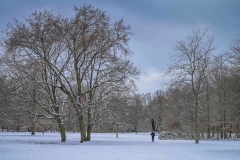 Weather feature, Winter in Charlottenburg Palace Gardens, Berlin, Germany, Europe