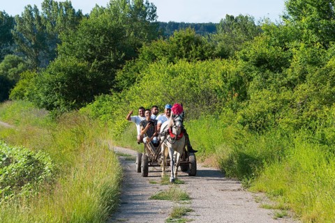 A group of people travelling in a horse-drawn carriage on a rural road surrounded by trees, Golyamo