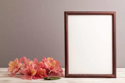 Wooden frame with pink azalea flowers on gray pastel background. side view, copy space, mockup,