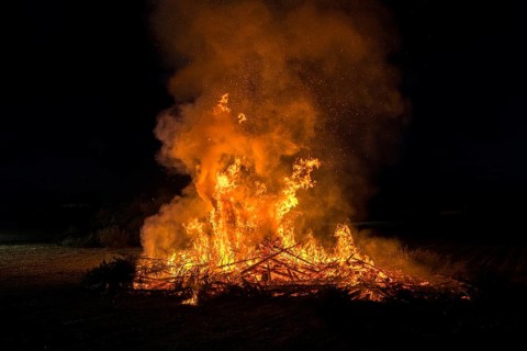 Environmental pollution, fire from discarded Christmas trees, Ostfildern-Plieningen,