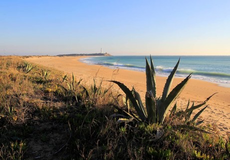 Sandy beach and lighthouse at Cabo de Trafalgar, Cadiz Province, Spain, Europe