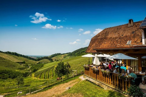 Vineyards and mountain inn, Hummelswälder Hof, Durbach, Ortenau, Black Forest, Baden-Württemberg,