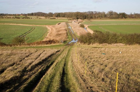 The Thrift, a prehistoric causeway crossing marshland which was once tidal sea, Butley, Suffolk,