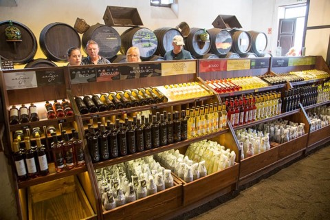 Bodega La Geria vineyard tourist attraction for sampling and buying wine, Lanzarote, Canary