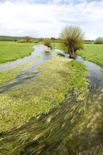 River Till seasonal chalk stream known as a winterbourne, Winterbourne Stoke, Wiltshire, England,