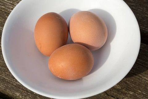 Three brown fresh free range hen eggs in white porcelain bowl