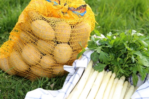 Asparagus and potatoes decorated in grass