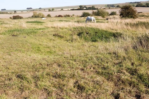Richardson deserted medieval village, Berwick Bassett, Wiltshire, England, UK