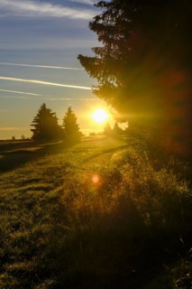 Am Heidelstein, Schwabenhimmel, UNESCO Biosphere Reserve, near Hausen, Rhön, Bavarian Rhön, Rhön,
