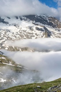 Two sheep on a mountain meadow in front of a mountain landscape, high fog in the valley, behind