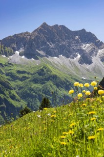 Großer Wilder, 2379m, Hochvogelgruppe and Rosszahngruppe, Allgäu Alps, Allgäu, Bavaria, Germany,